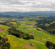 Aussicht bei Trike Rundflug über Löwenzahnfelder im Allgäu