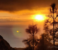 Sonnenuntergangsflug von Ifonche